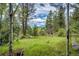 Expansive backyard with lush greenery and mature trees offers a serene and private setting at 12346 Bear Haven Rd, Conifer, CO 80433