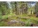 Wooded backyard featuring a quaint bridge over a gentle stream for a peaceful nature setting at 12346 Bear Haven Rd, Conifer, CO 80433