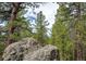 Large boulders in the woods on the property at 12346 Bear Haven Rd, Conifer, CO 80433
