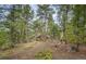 A rocky hill on the property with many mature trees at 12346 Bear Haven Rd, Conifer, CO 80433