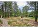 Spacious backyard featuring a playground, mature trees, and ample space for outdoor activities at 7312 Marshall Rd, Larkspur, CO 80118