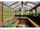 Bright greenhouse featuring thriving plants, wooden beams, shelving, and clear roof panels for optimal light at 7312 Marshall Rd, Larkspur, CO 80118
