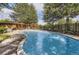 Beautiful community pool area with comfortable seating, lush trees, and well-maintained landscaping at 5555 E Briarwood Ave # 706, Centennial, CO 80122