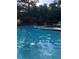 Inviting community pool with clear blue water, surrounded by well-maintained landscaping and lounge chairs at 5555 E Briarwood Ave # 706, Centennial, CO 80122