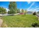 Beautiful backyard with mature trees, green grass, garden shed, and white picket fence at 7930 Larkspur Cir, Frederick, CO 80530