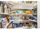 Walk-in pantry with shelves for storage and organization at 4785 Aberdeen Ave, Highlands Ranch, CO 80126