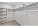 Walk-in closet with open shelving, hanging rods, carpet, and white walls at 4338 Cattle Cross Trl, Castle Rock, CO 80104