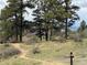 Scenic view of the Tallman Gulch Trail through a grassy meadow with large pine trees at 22268 E Hidden Trail Dr, Parker, CO 80138