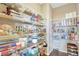 Walk-in pantry with wire shelving offering ample storage for groceries and kitchen essentials at 22268 E Hidden Trail Dr, Parker, CO 80138