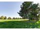 Scenic view of a community park featuring lush green grass and tall trees at 5319 E Davies Dr, Centennial, CO 80122