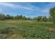 Beautiful open grassy space with mature trees for relaxing and taking in the scenery at 5319 E Davies Dr, Centennial, CO 80122