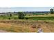 Beautiful open space with mature trees and panoramic views of the neighborhood at 5319 E Davies Dr, Centennial, CO 80122
