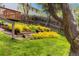 Backyard features terraced garden beds with colorful flowers, a wooden fence, and mature trees at 10868 W 70Th Ave, Arvada, CO 80004