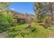 Spacious backyard with large deck, lush greenery, and mature trees at 18771 Mexico E Dr, Aurora, CO 80017