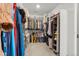 Walk-in closet featuring organized racks for hanging clothes and storage shelves at 4960 Malaya St, Denver, CO 80249