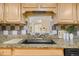 Kitchen featuring granite countertops, wood cabinets and a stainless steel sink at 7865 E Mississippi Ave # 105, Denver, CO 80247