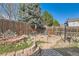 Charming backyard with a stone patio and fire pit surrounded by lush greenery and a fence at 13960 Grape St, Thornton, CO 80602