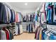 Spacious walk-in closet with ample shelving and hanging space, perfect for organizing clothes and accessories at 423 Rogers Way, Castle Rock, CO 80104