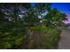 Street view surrounded by mature trees and bushes leading to a well maintained yard at 8935 W Swarthmore Dr, Littleton, CO 80123