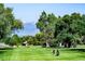 Scenic view of a lush golf course with mature trees and distant mountains at 310 Judson St, Longmont, CO 80501