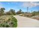 Winding concrete walking path through a natural landscape with scattered trees, grass, and power lines at 5326 Lowell Blvd, Denver, CO 80221