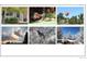 A collage of beautiful landscaping and exterior home views, showcasing the care and aesthetics of this property at 9230 W Indore Dr, Littleton, CO 80128