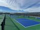 Outdoor pickleball courts for a fun and active community lifestyle at 9035 S Shawnee Ct, Aurora, CO 80016