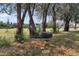 Picturesque view of a tire swing hanging from a tree in a well-maintained, grassy yard at 20155 E Davies Ave, Centennial, CO 80016