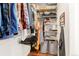 Organized walk-in closet featuring shelving, hanging rods, and laminate floors at 5900 Haywagon Ln, Castle Rock, CO 80108
