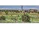 Beautiful community view with open green spaces, walking paths, and distant mountain views at 3411 N Xenia St, Denver, CO 80238