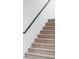 Modern carpeted staircase with black railing at 9385 E 58Th Dr, Denver, CO 80238