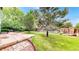 Well-maintained backyard featuring green grass, mature trees, a small patio area, and lovely landscaping at 11301 Vernon Way, Parker, CO 80134