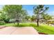 Backyard with mature trees and grass, providing shade and privacy, perfect for outdoor activities at 11301 Vernon Way, Parker, CO 80134