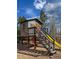 Custom backyard playhouse featuring stone accents, slide, and plenty of room for imagination at 5893 Lasso Pl, Parker, CO 80134