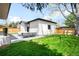 Spacious backyard with a lush lawn, patio area, modern exterior, and mature trees at 1462 S Vine St, Denver, CO 80210
