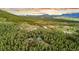 Scenic aerial view of a wooded property with a charming home and stunning mountain backdrop at 5090 S Perry Park, Sedalia, CO 80135
