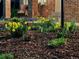 Close-up of beautifully landscaped yard featuring colorful flowers, plants, and fresh mulch at 16177 E Prentice Pl, Centennial, CO 80015