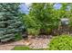Lush landscaping, rock features, and privacy fencing make this backyard an oasis at 14258 Greenfield Loop, Parker, CO 80134