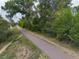 Aerial view of a path surrounded by foliage at 2571 S Birch St, Denver, CO 80222