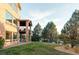 Stone house exterior with a deck and grassy backyard at 1365 Gentry Pl, Castle Rock, CO 80104