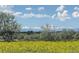 Scenic views with flower fields and snow-capped mountains in the background at 15498 E Dorado Pl, Centennial, CO 80015