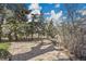 Outdoor stone paver patio surrounded by trees and other lush landscaping in the backyard at 4095 Field Dr, Wheat Ridge, CO 80033