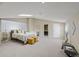 Spacious main bedroom boasting skylight, neutral decor, and carpeted floors at 837 E 17Th Avenue # 2K, Denver, CO 80218