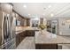 Open concept kitchen with granite counters, stainless appliances, and ample natural light at 2633 Garganey Dr, Castle Rock, CO 80104