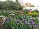 Beautiful garden filled with a variety of colorful flowers and plants at 947 S Yates St, Denver, CO 80219