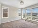Carpeted bedroom showcasing natural light, multiple windows, and a neutral color palette at 3654 Penang Dr, Castle Rock, CO 80109