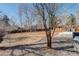 Extensive backyard featuring a rock garden, mature trees, and a concrete patio at 8229 Marshall Ct, Arvada, CO 80003