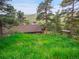 Expansive backyard with lush greenery, swing set, and a charming home nestled among the trees at 6094 Pyrenees Trl, Golden, CO 80403