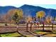 Horse arena with person riding horse and scenic mountain backdrop at 10866 W Half Moon Pass, Littleton, CO 80127
