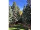 Tranquil backyard with grass and mature trees at 34498 Forest Estates Rd, Evergreen, CO 80439